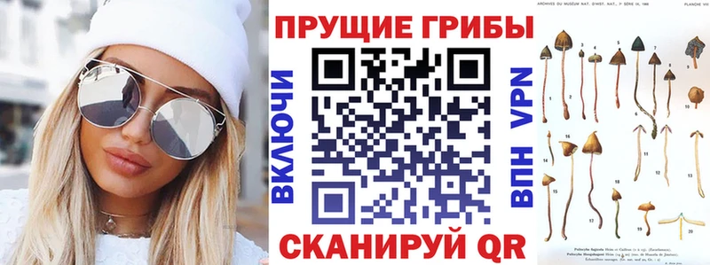 Купить где  Каневская  Галлюциногенные грибы MAGIC MUSHROOMS 